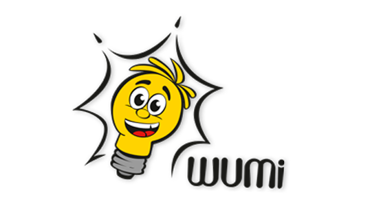 Professor Wumi